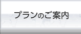 プランご案内