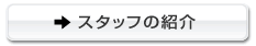 スタッフの紹介